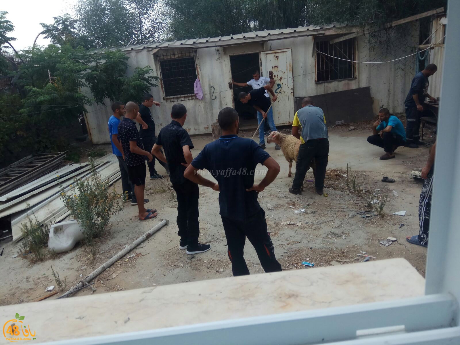 dab7 ada7y wu3ed (14).jpg